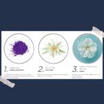 شامپو ضد زردی مو فیتو ویولت Phyto Violet Purple - تصویر 3