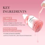 سرم صورت پپتاید مدی کیوب MEDICUBE مدل PDRN PINK - تصویر 4