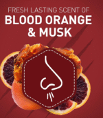 مام صابونی مردانه تایگر کلا اولد اسپایس Old Spice Tiger Claw Deodorant Stick for Men, - تصویر 3