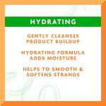 شامپو آووکادو کنتو| مخصوص موهای فر| 400 میل| Cantu Avocado Hydrating Shampoo - تصویر 4